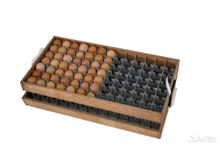 Перегородки в лоток для инкубатора Норма Урал 195