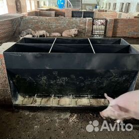 Кормушки для свиней своими руками: автоматическая, бункерная