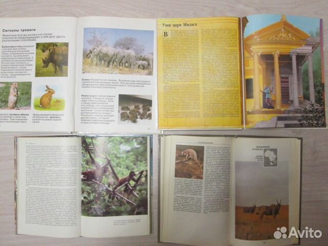 Энциклопед д/детей,др справочники,книги о животных