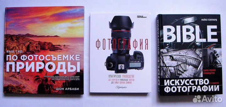 Фотография, телевидение, домоводство