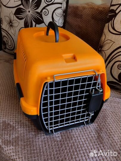 Переноска Аренда