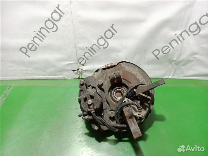 Ступица (кулак, цапфа) передняя левая Mitsubishi