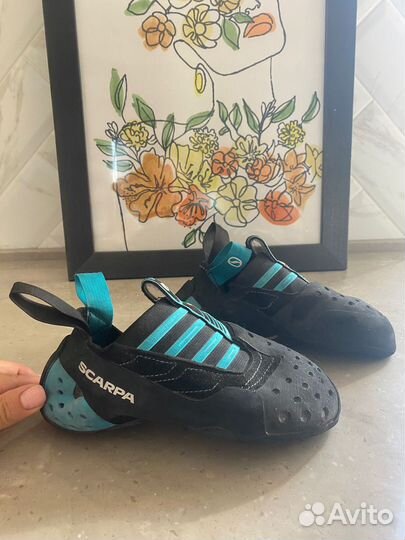 Скальные туфли Scarpa Instinct S Black/Azure 35 EU