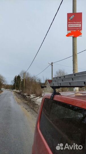 Реклама на столбах и деревьях в Лен.области