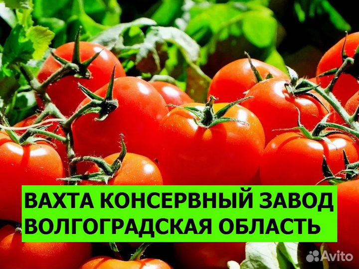 Разнорабочий вахта Волгоградская область