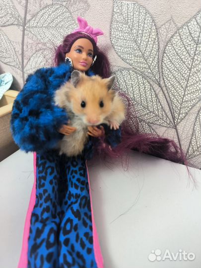 Сирийские хомячки в поисках семьи