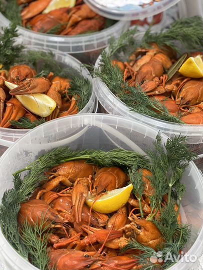 Раки Крабы Устрицы опт и розница