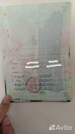 РВП ВНЖ Гражданство РФ