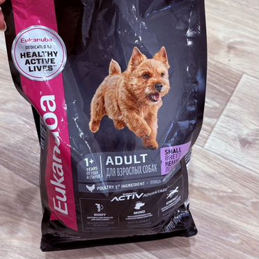 Корм для собак