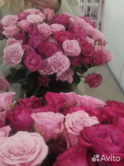 101 Роза. Цветы. Букет цветов, 25, 51, 101 роза