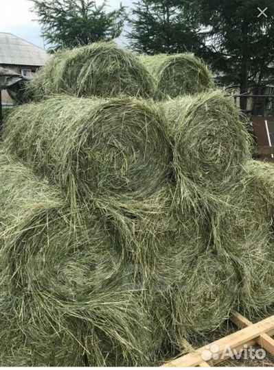 Сено в мини рулонах
