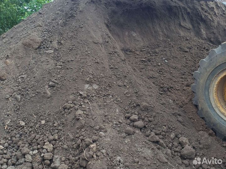 Чернозем плодоротня почва