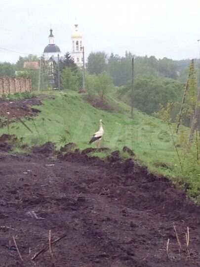 Участок 21 сот. (ИЖС)