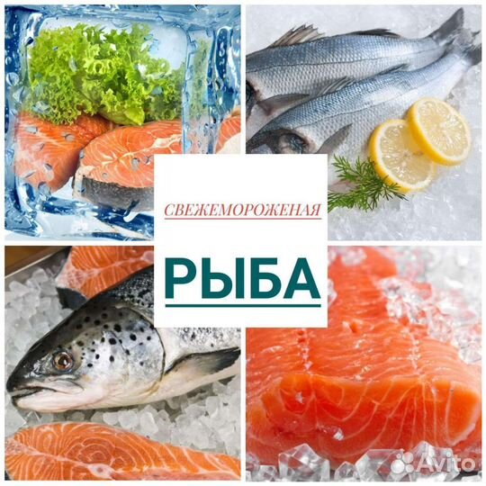 Доставка свежемороженой Рыбы и Морепродуктов Тверь