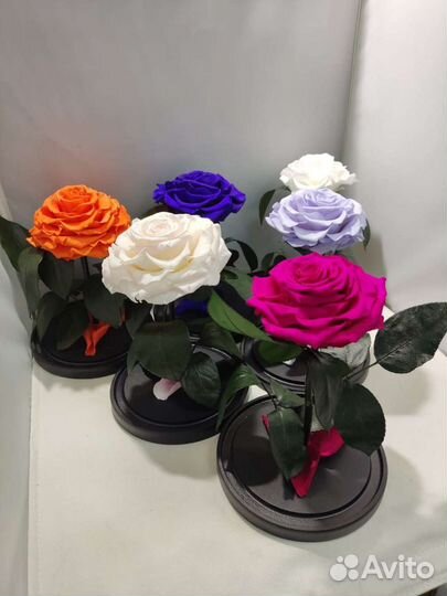 Роза в колбе опт и розница