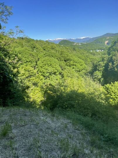 Участок 18 сот. (ИЖС)