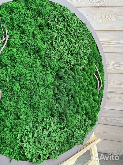 Панели из стабилизированного мха