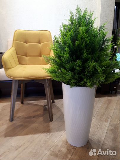 Искусственная туя