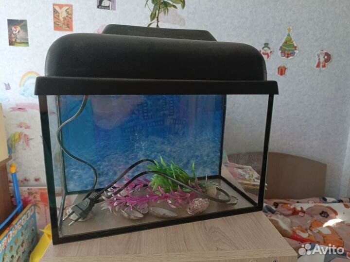 Аквариум