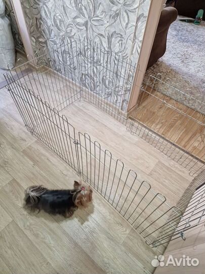 Вольер для щенков в квартиру