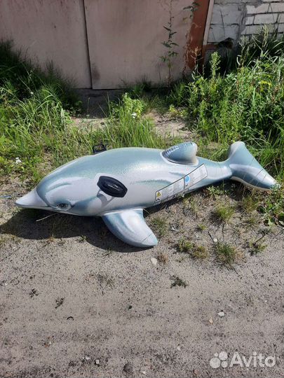 Надувной дельфин для плавания