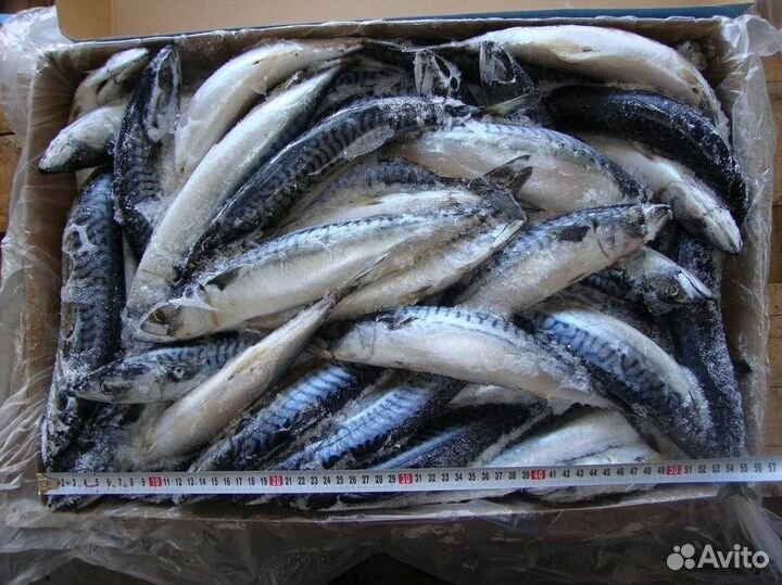 Продажа рыбного магазина с прибылью