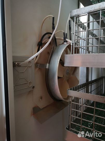 Инкубатор для яиц