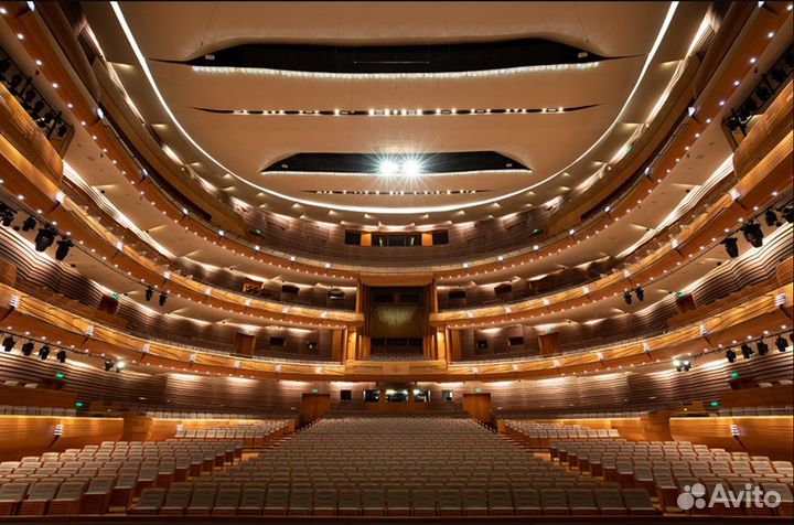 Билет Мариинский театр, Александринский, мдт