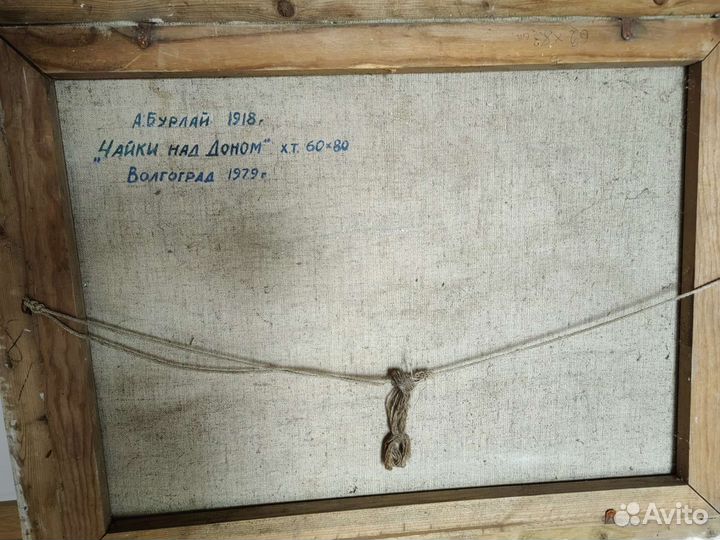 Чайки над Доном