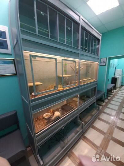 Стеллаж стойка для животных и птиц