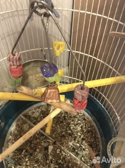 Клетка для попугая