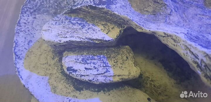 Грот для аквариума или террариума