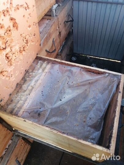 Пчелопавильон