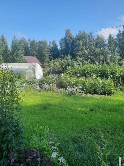 Дача 30 м² на участке 12 сот.