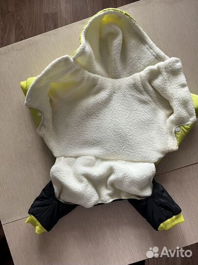 Одежда для собак