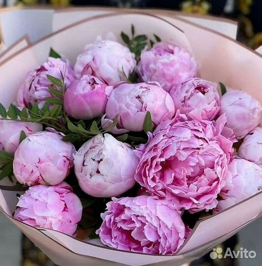 Пионы Букеты Цветы Доставка