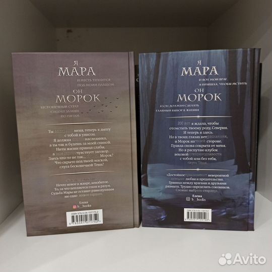 Мара и Морок (Особенная тень) - Лия Арден