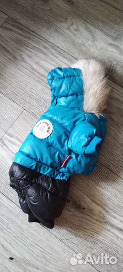 Комбинезон для маленькой собаки