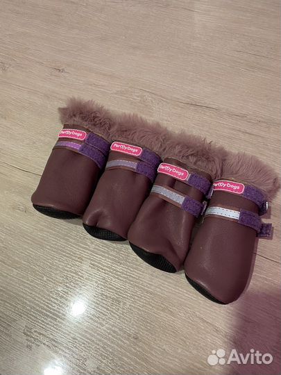 Одежда для собак