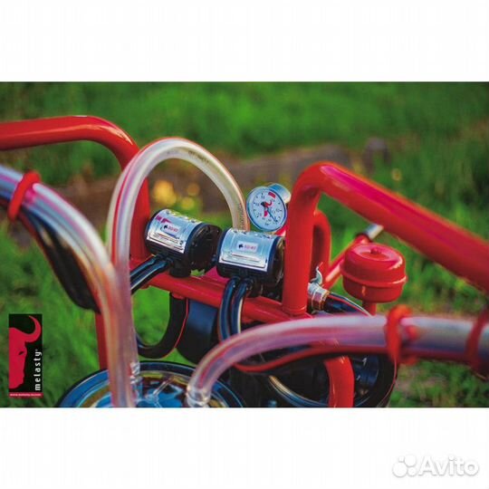 Доильный аппарат для коров Меласти Melasty TK2-PS