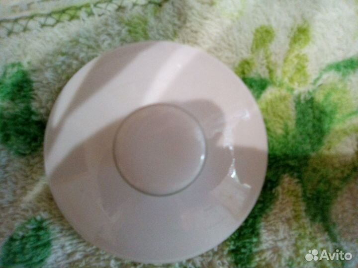 Сахарница леандер