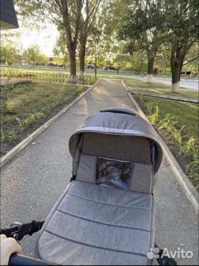 Коляска 2 в 1 adamex