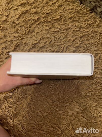 Мозг и его потребности Дубынин Вячеслав