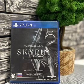 Skyrim special edition ps4