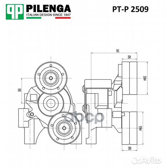 Натяжитель приводного ремня PT-P2509 pilenga