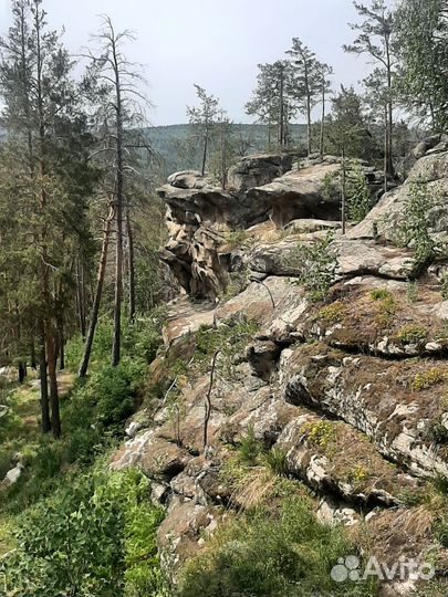 Экскурсия на 