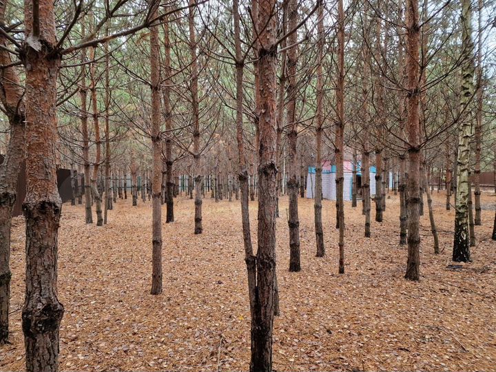 Участок 12 сот. (ИЖС)