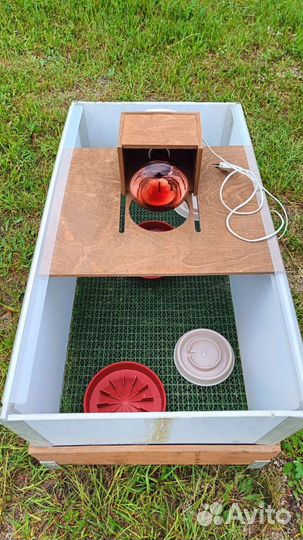 Брудер для цыплят