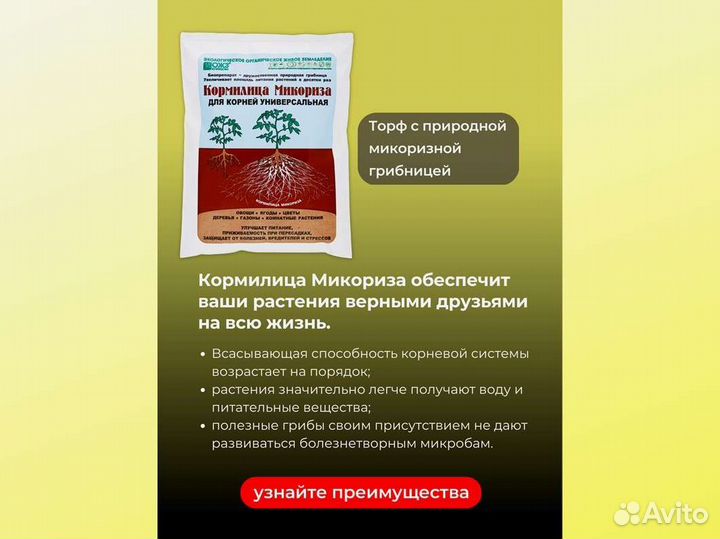 Кормилица Микориза