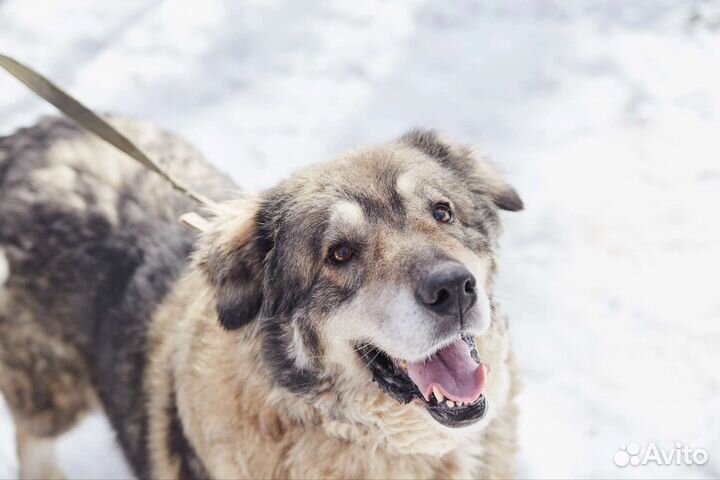 Ищет дом классная большая Мадина